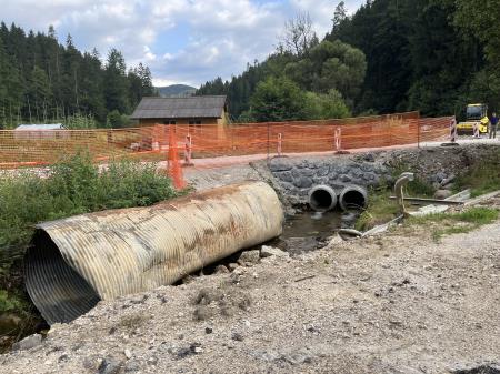 Photo 17. 7. 24, 07 46 24